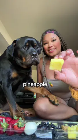 TASTE TEST PART 1 😋 #rottweiler #rottweilersoftiktok #PetsOfTikTok #rottie #rottiesoftiktok #dogsoftiktok 