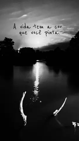 #CapCut #gratidao #status #poderesdaverdade 