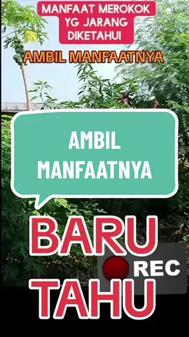 INSPIRASI ISLAM#dakwahindonesia #alqurankareem #alquran #murotalquran #hafidzquran #hafidindonesia #cintarasul #nabimuhammadsaw #sholawatnabi #ikhtiar #sabar #tawakal #istigfar ##inspirasiislam #fyp #fypislam #fypシ #dalamislam #jakaumbaran #tiktok #ceramahislam #istiqomah #kisahislam 