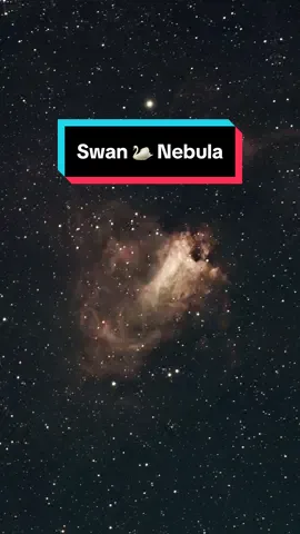 Lost in the beauty of the Swan Nebula 🦢✨  I used my beginner Seestar S50 telescope from @agenaastro to capture this beauty. The total exposure was only 20 minutes and I am amazed with the result. The Swan Nebula, also known as Messier 17 (M17), the Omega Nebula, or the Horseshoe Nebula, is a stunning region of star formation located in the constellation Sagittarius. Observing the Swan Nebula provides a glimpse into the dynamic and ongoing processes that shape our universe, highlighting the beauty and complexity of stellar nurseries. Exploring the wonders of the cosmos, one nebula at a time. #M17 #SwanNebula #CosmicWonders #Astrophotography #fyp 