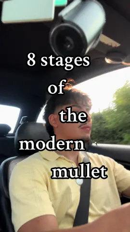 restarting my hair trying to get back to stage 4 . #fyp #fypシ゚viral #explore #modernmullet #mullet #hair #hairstyle #hairinspo #inspo #trending #men 