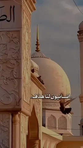 #CapCut انسانيون لنا هدف  #انشودة #اناشيد #foryou #انسانيون #انسانيون_لنا_هدف @☜ واحد ¹ ♛ @꧁★ساندِيَ★꧂  @ســــوُاد || 𝐒𝐀𝐖𝐀𝐃 