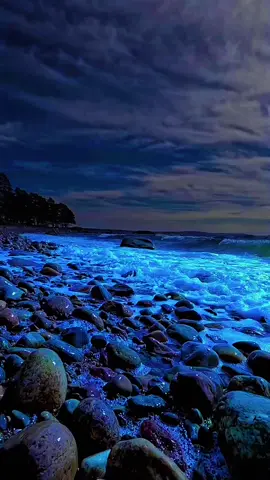 #بحر #شاطىء #ليل 