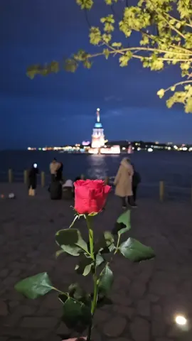 21:43 gördüğün saati yaz 🫶🎵Çağan Şengül çok yazık  📍kız kulesi İstanbul 