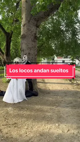 #viral #viralvideo #humor #colombia #viraltiktok #viraltiktok #viralpage #funny #funnycats #mundo 
