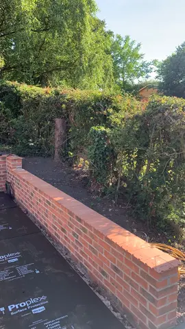 Layin em down 🧱  #fyp #satisfyingvideo #landscaping #landscape #landscapedesign #garden #gardening #lawncare #construction #gardendesign #nature #landscapephotography #landscaper #design #outdoorliving #plants #lawn #architecture #grass #backyard #lawnmaintenance #flowers #patio #landscapearchitecture #photography #gardens #hardscape #landscapers #lawnservice #mowing #pavers #lawncarelife
