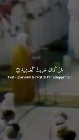 🎙Sheikh Ali Jaber - Sourate Al Ghashiyah  #quran #pourtoi #fyp #coran #alijaber 