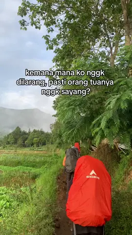 dan sebagai anak kita harus menjaga kepercayaan dari orang tua kita #pendaki #pendakigunung #gununggedepangrango #beranda #orangtua #fyp 