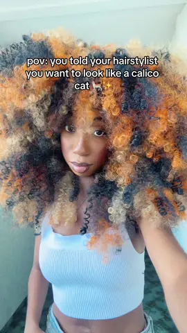 i’m a calico cat in human form 🐈✨ #hairstyles #curlyhair #curlyhairstyles #curlyhairtutorial #curlyhairroutine #fashiontiktok #hairtiktok 