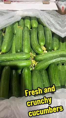 Love pics of veggies? Follow and drop an emoji! #cucumbers so fresh they're still blooming! #cucumbersalad #photosofveggies #nature #blooms #farming #farmtotable #farmersmarket #green #allthingsgreen #crunchy 