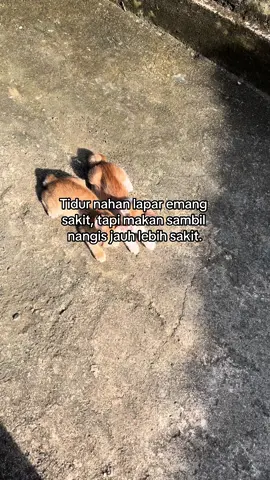 Sekarang kalau lagi ada masalah bawaanya pingin nangis aja, sambil doa yaa Allah ini kapan berakhirnya. Teman-teman ada yang sama? #bagian88 