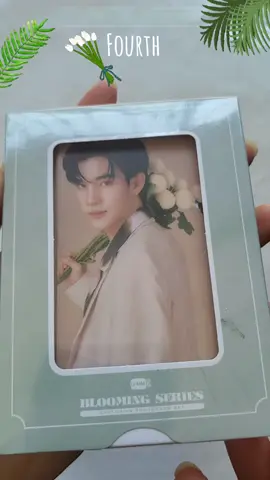 BLOOMING SERIES 💐 EXCLUSIVE PHOTOCARD SET  FOURTH 🩷 #โฟร์ท #fourthnattawat  #geminifourth❤️ #geminifourth #blmerch #blmerchandise #bl #gmmtv #gmmtvboys 
