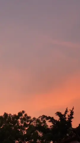 El nuevo mantra que me acompaña ✨🦋. #melomerezco #elenarose #naturaleza #nature #mantra 