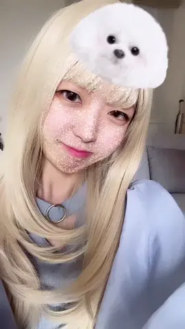 マイナスコメントいらないよっ #シャドバン中 #おすすめのりたい 