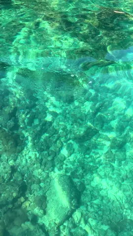 Toca da velha na Ilha das Couves ubatuba terça feira 24/06/2024 Video feito a bordo da minha lancha durante o passeio,  estavamos a 3 metros e meio acima desse fundo de pedras, devido a transparência da agua parece ser muito mais raso  Mes de junho ate ontem tivemos até agora os melhores dias do ano em Ubatuba ☀️🏝️🐋🐬🙏 . . . . . #ubatuba  #litoral  #litoralnorte  #natureza  #sol  #mar  #ilhadascouves  #passeio  #passeiodelancha 