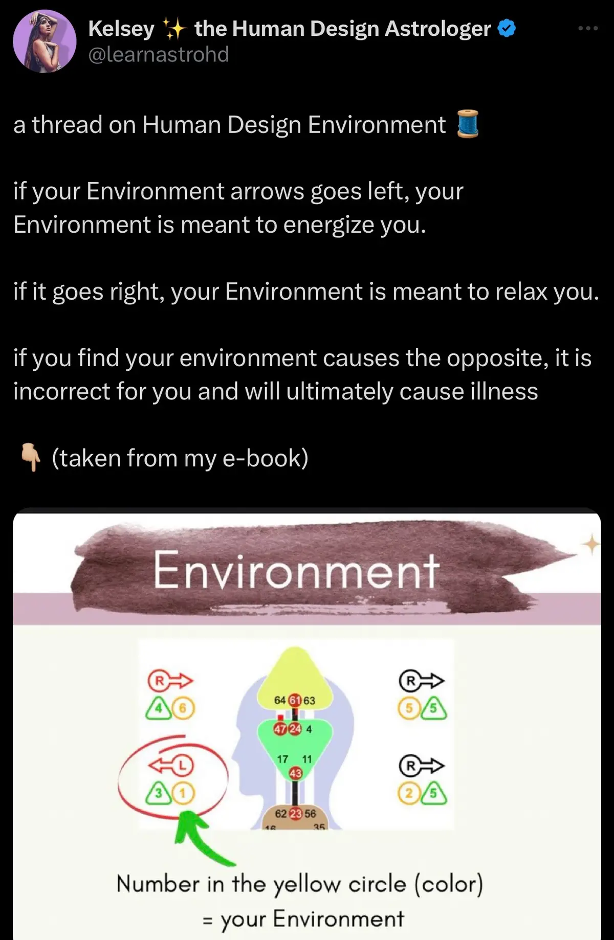 do you know about your Human Design Environment?👀 Variables Bundle is linked in profile!💓