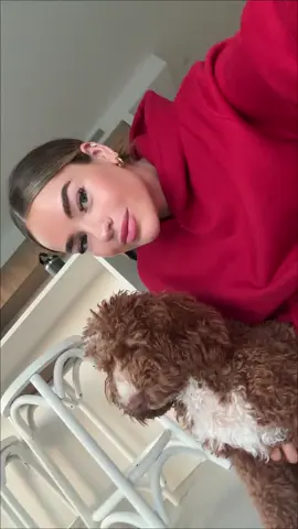 Oakley asked to be in this tiktok (hes not being held hostage)