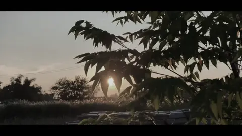 Love you three 3000 slowmo #capcut_huutuyen77 #xuhuong #maucapcut #fyp