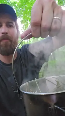 Making a pain relieving, anti inflammatory tea from willow bark #foryou #foryoupage #selfreliance #medicinalplants #wildmedicine #foraging #survival #bushcraft #willow