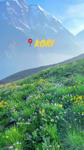 Heavenly Kori 😍🌿🌼💐 “full vlog video link in my bio” #nerunvlogs #koritrek #nepal #fypシ゚ 