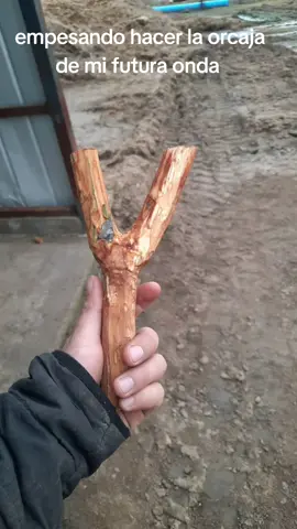 #campochileno #conejeroschile #tirapiedra #resortera #vivachile