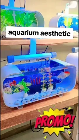 aquarium mini aesthetic akrilik #aquariumaesthetic #aquarium #aquariummini #sahabatmc 