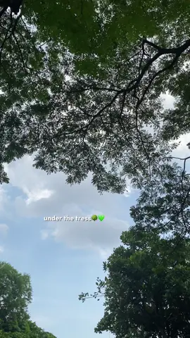 Under these trees💚🌳  #trees #refreshing #relaxed #green #fyp #foryou #foryoupage #foryourpage 