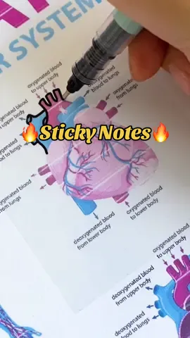 50pcs Transparent Sticky Notes #fyp #foryou #foryoupage #stickynotes #notepad #notepads #notes #school #tiktokshop #tiktokfinds 