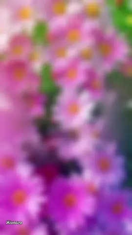 #сднемрождениясынадлямамы #видеоназаказ #длямамы 