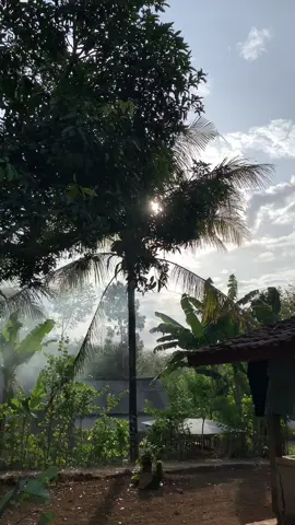 Suasana pagi hari di kampung halaman #vidiovibesestetik #kampung #aesthetic #desa #fyp #fypシ 