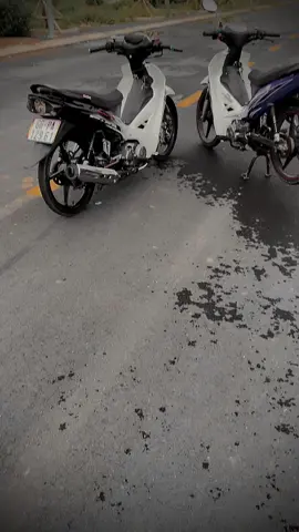 Trắng đen hayyy trắng xanhh 😝 #xuhuong #xuhuongtiktok #sirius #siriustrangden #siriustrangxanh 