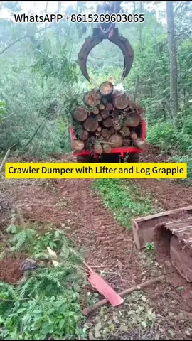 MINI Crawler Dumper Track Dumper MINI Tracked Loader #minidumper#crawlerdumpertiktok #trackdumper #africantiktok