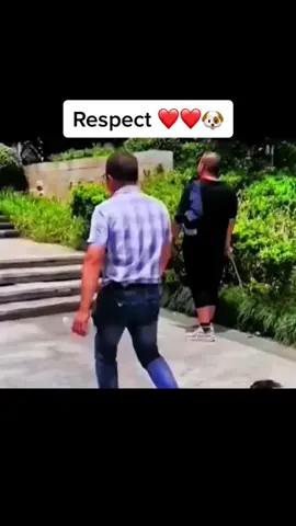 Respect🐶🐶 #respect #amazing #moments #likeaboss #respectmoments85 #bajkai24 #wow #viral #fyp #foryoupage #follow #likeforlikes 