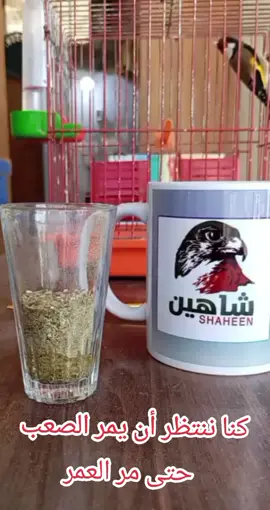 . #من_يسكن_الروح_كيف_القلب_ينساه 