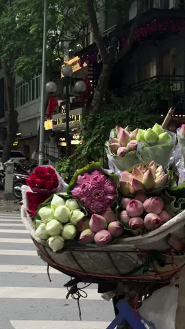 Nhiều lần đã cố gắng quên đi dù cho, tình mình đã vỡ đôi #hanoi 