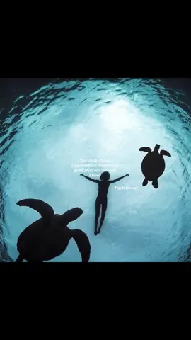 frank ocean 𓇼 🎧ྀི🌊 🐚 #viral #moodboard #pinterest #moodboardaesthetic #aesthetic #moodboards #mood #inspo #fyp #foryoupage #slideshow #frankocean #quotes #summeraesthetic #photography 