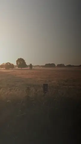 Hoy te damos gracias Dios por un nuevo amanecer, siempre se la luz en nuestro camino 🙏🏼❤️