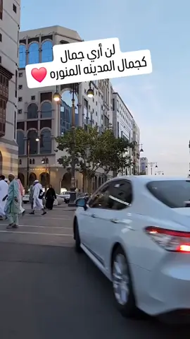 جمال المدينة 🤍 مدينه رسول الله، 🤍🕊️ #الحج #العمرة  #بوابتك_للحج_والعمرة 