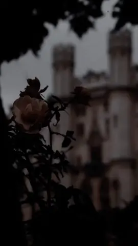 #lomasnuevo #inocenteromeosantos #inocente #inocentebachata #bachata #bachataromantica #bachataderomeosantos #aventuta #inocenteletra #inocentecancioncompleta #romeosantosofficial #romeosantostiktok 