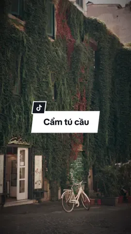 Chờ người từ nắng lúc dần buông #xuhuong #thanhcapcut   