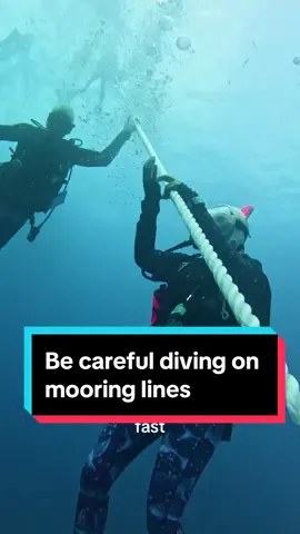 It’s easy for divers to get carried away while ascending using “hand over fist”. Just remember to keep it nice and slow, and watch your dive computer or depth gauages 🤿✅💦 #scuba #scubatiktok #wreckdive #dangerous #scubadivingwithkenny 