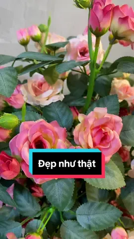 Hoa thật, nhưng làm bằng nguyên liệu giả. Có không ???  #hoaluathanhxuan #hoahong #hoa #hongngoairose #hoagia