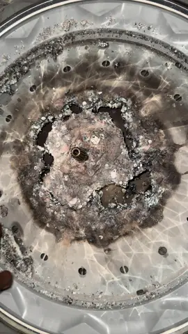 Nao use o sabao em po na sua maquina de lavar 