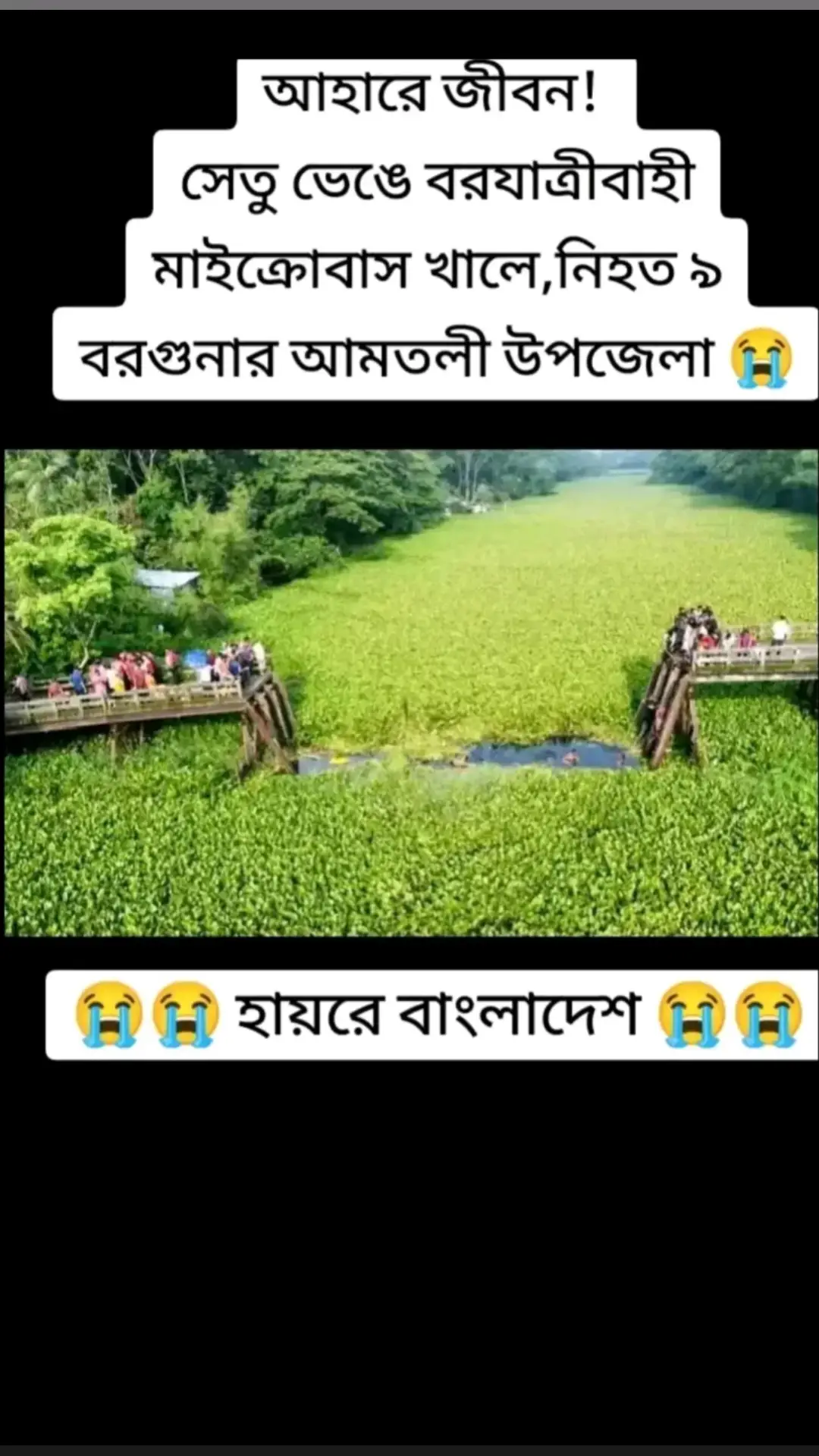 #shahedul_islam1 #সাপোর্ট_করলে_সাপোর্ট_পাবেন #tiktokbangladesh🇧🇩 #tiktokopisiyalbangladesh🇧🇩🇧🇩 #সবাই_একটু_সাপোfর্ট_করেন_প্লিজ🙏 