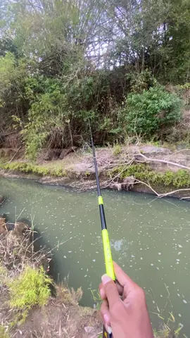 Kapokmu kapan ? #microfishingindonesia #microfishing #mancing #mancingmaniamantap #waderhunter #wader 