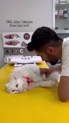Angel’ın sakinliği🥹