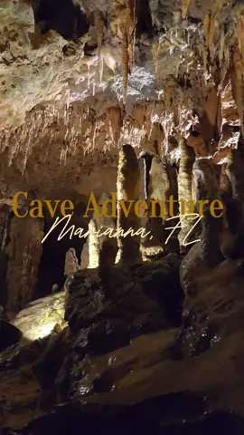 My latest summer adventure was a trip to Marianna,FL to   explore limestone caves.  📍Florida Caverns State Park Park entry is $5 per vehicle and cave tours are $15 per person. If you're into nature or cool experiences, you might wanna add this to your travel list! #traveltiktok #traveltok #adventuretok #adventuretiktok  #cavetok #cavetiktok #caves #cave #caverns  #limestonecave #caveexploration #summeradventures #caveadventures #explorewithme #summertravel #thingstodothissummer #florida  #floridacaverns #floridacavernsstatepark #wildflorida #naturetiktok #naturetok #adventurevlog #travelvlog #floridaadventures #thingstodoinflorida 