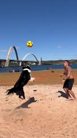 Alguém sabe que lugar é esse? ⚽️🤔 . . . #videoviral #dogaltinha #altinha #bordercollie #brasilia #viral #foryou #fyp 
