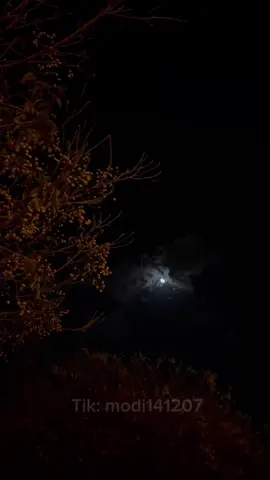 #CapCut #تصميم_فيديوهات🎶🎤🎬 #تصميمي #خواطر #عبارات #الشعب_الصيني_ماله_حل😂😂 #الذكاء_الاصطناعي #الذكريات 