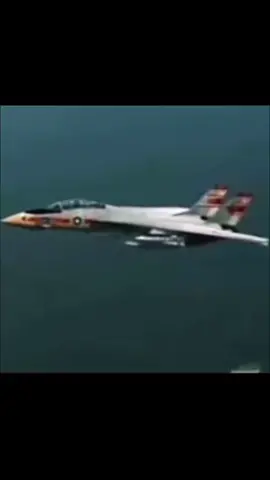 swept 😱 // #f111ardvark #f14tomcat #panaviatornado #tu160 #sweptwing #aviation #fypage #military 